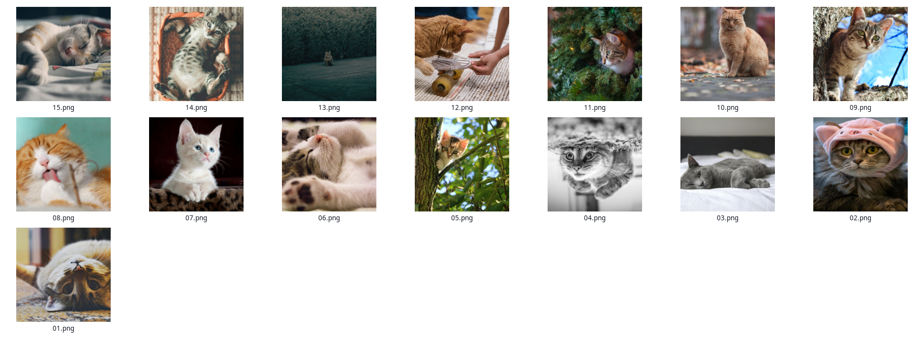 Kattebilder fra mail